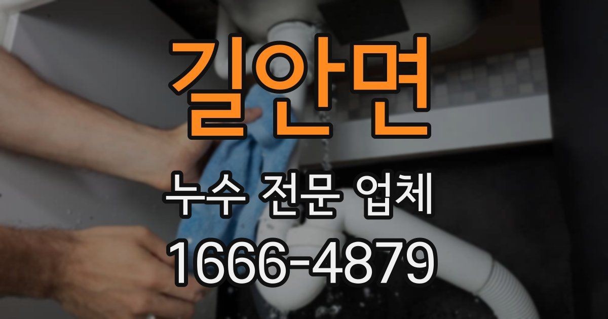 길안면 누수 전문 업체