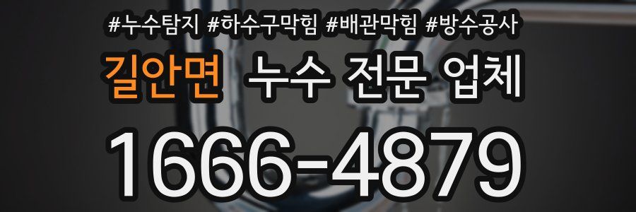 길안면 누수 전문 업체