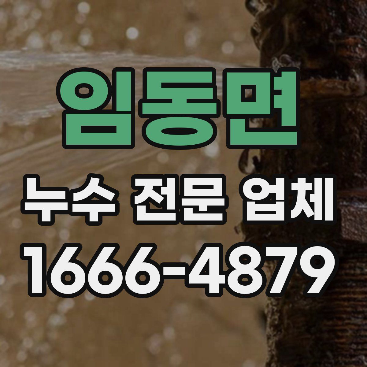 임동면 누수 전문 업체