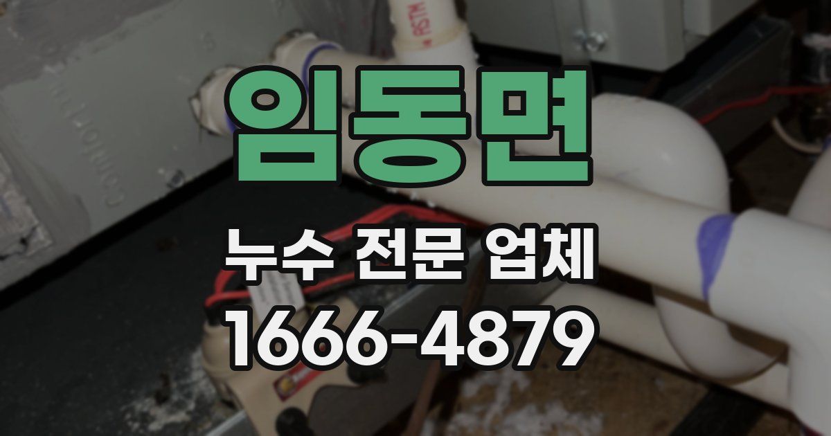 임동면 누수 전문 업체