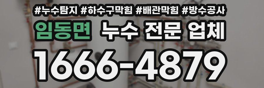 임동면 누수 전문 업체