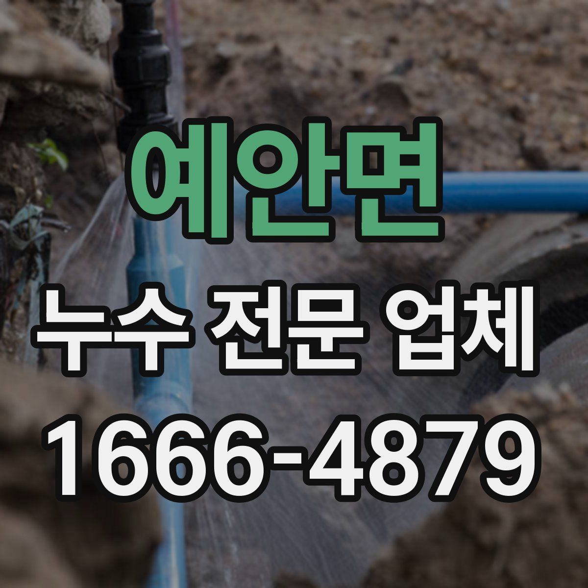예안면 누수 전문 업체