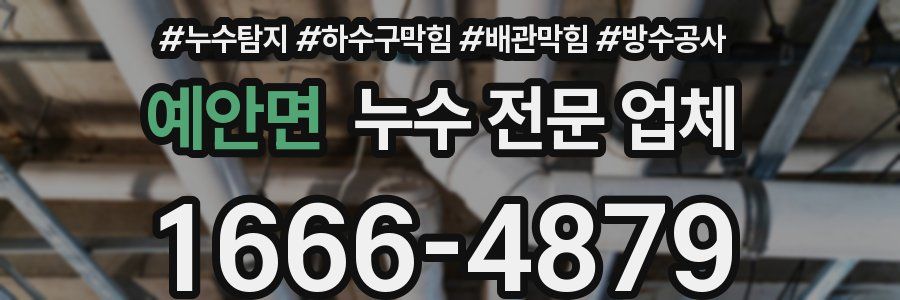 예안면 누수 전문 업체