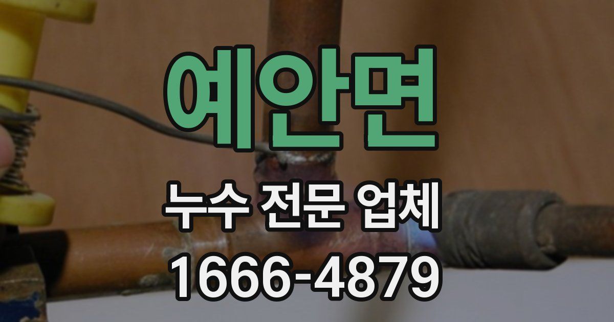예안면 누수 전문 업체