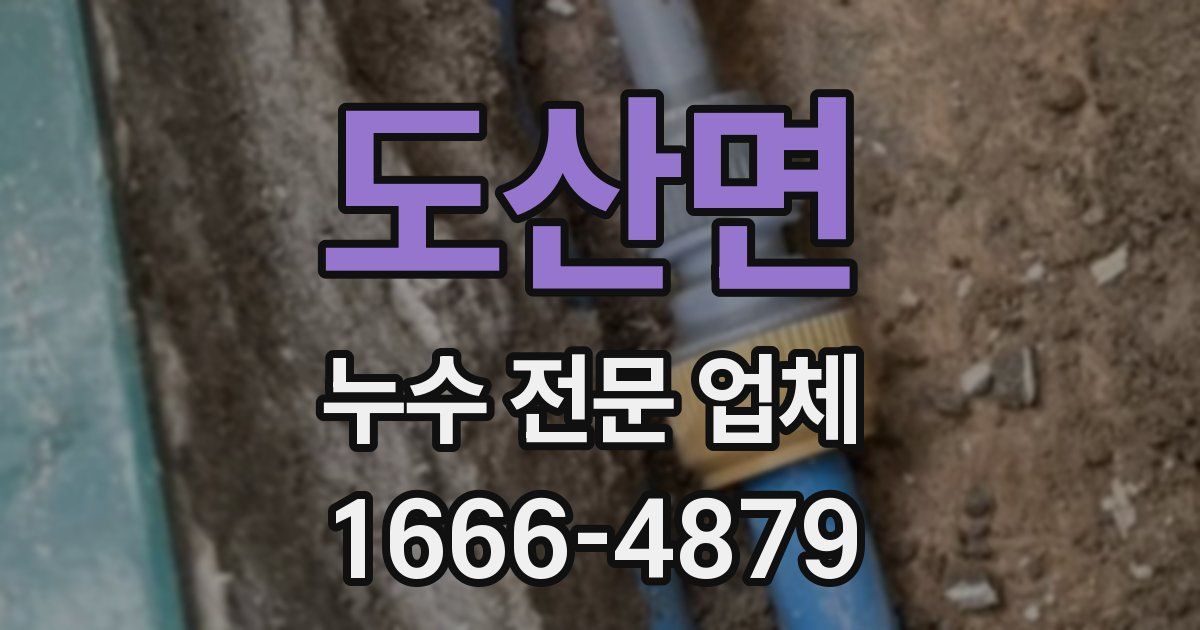 도산면 누수 전문 업체