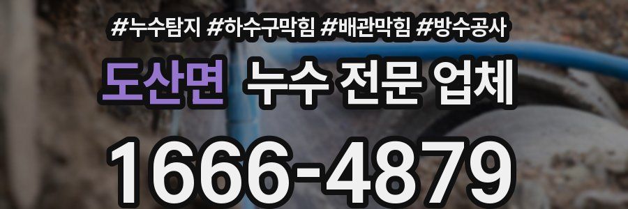 도산면 누수 전문 업체