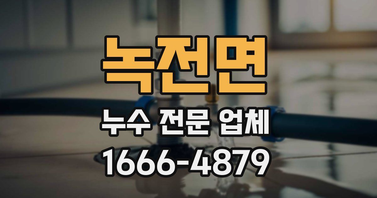 녹전면 누수 전문 업체