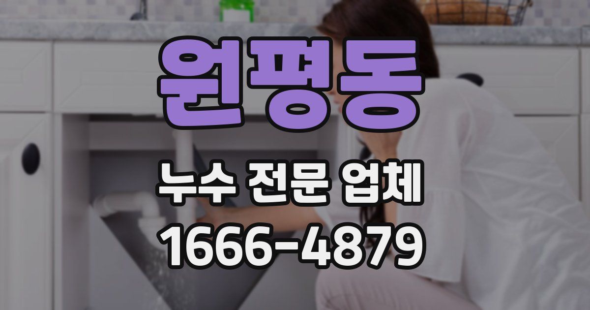 원평동 누수 전문 업체
