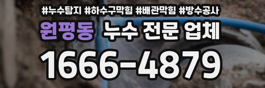 원평동 누수 전문 업체