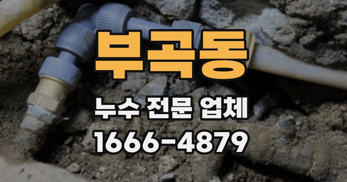 부곡동 누수 전문 업체