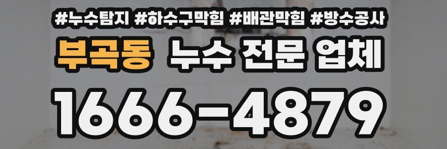 부곡동 누수 전문 업체