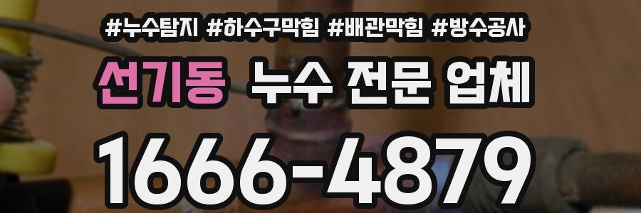 선기동 누수 전문 업체