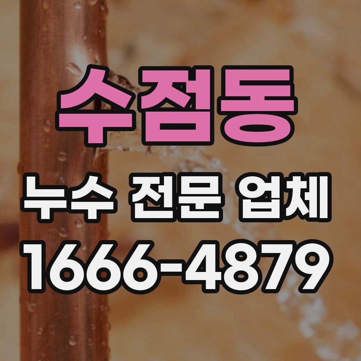 수점동 누수 전문 업체