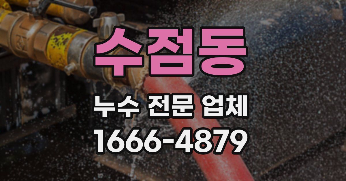 수점동 누수 전문 업체