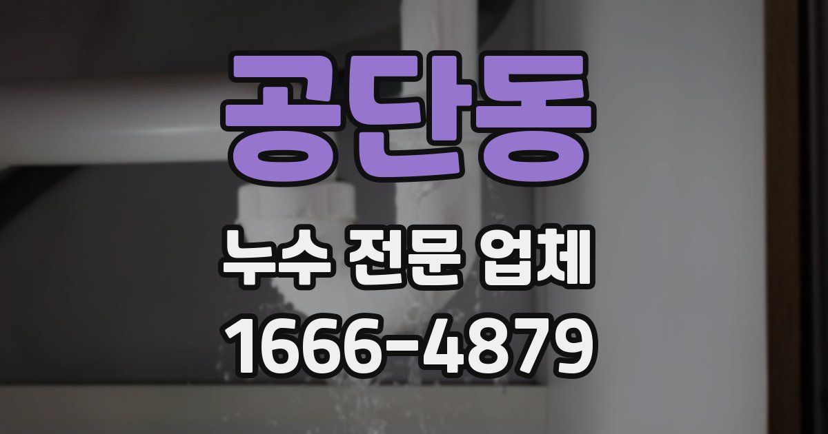 공단동 누수 전문 업체