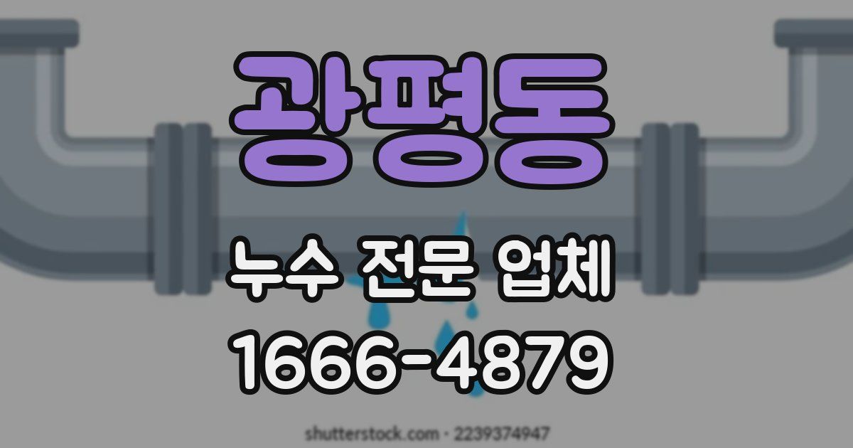 광평동 누수 전문 업체
