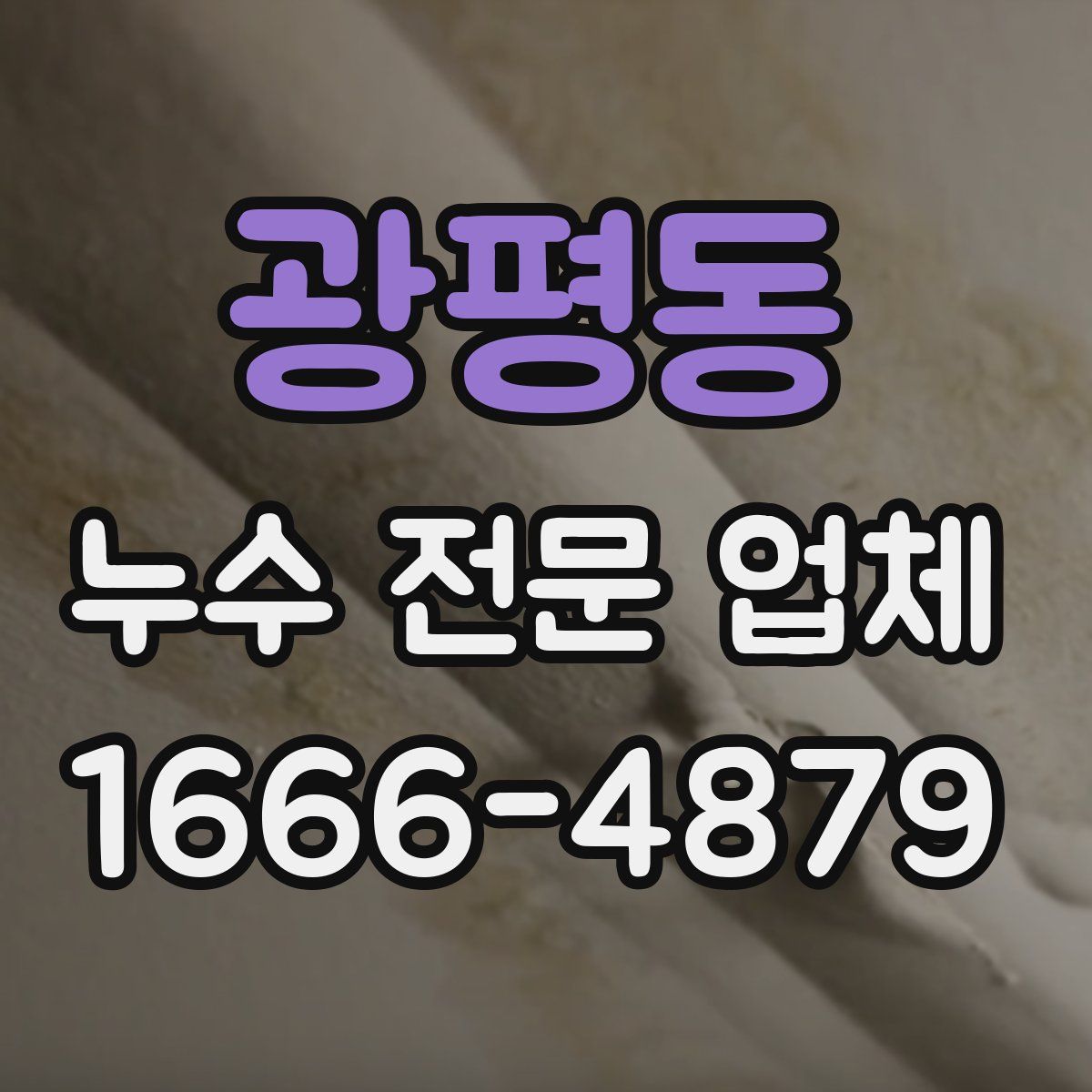 광평동 누수 전문 업체