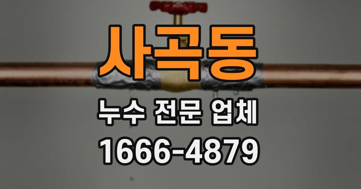 사곡동 누수 전문 업체