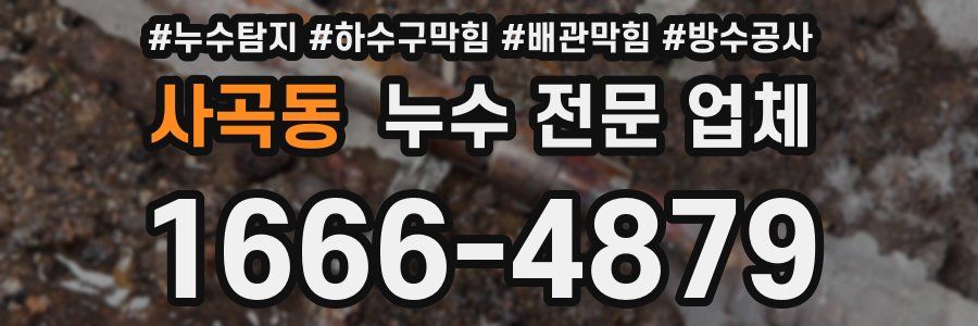 사곡동 누수 전문 업체