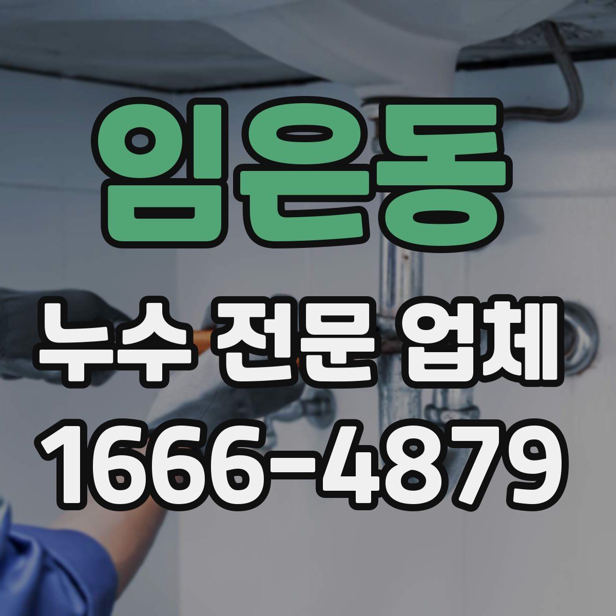임은동 누수 전문 업체