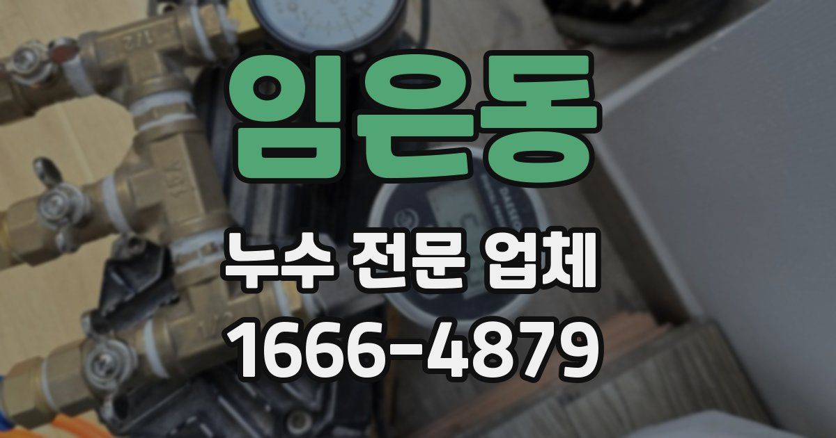 임은동 누수 전문 업체