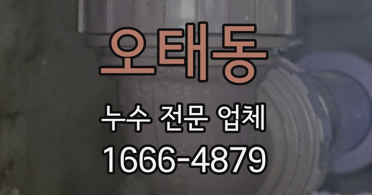 오태동 누수 전문 업체