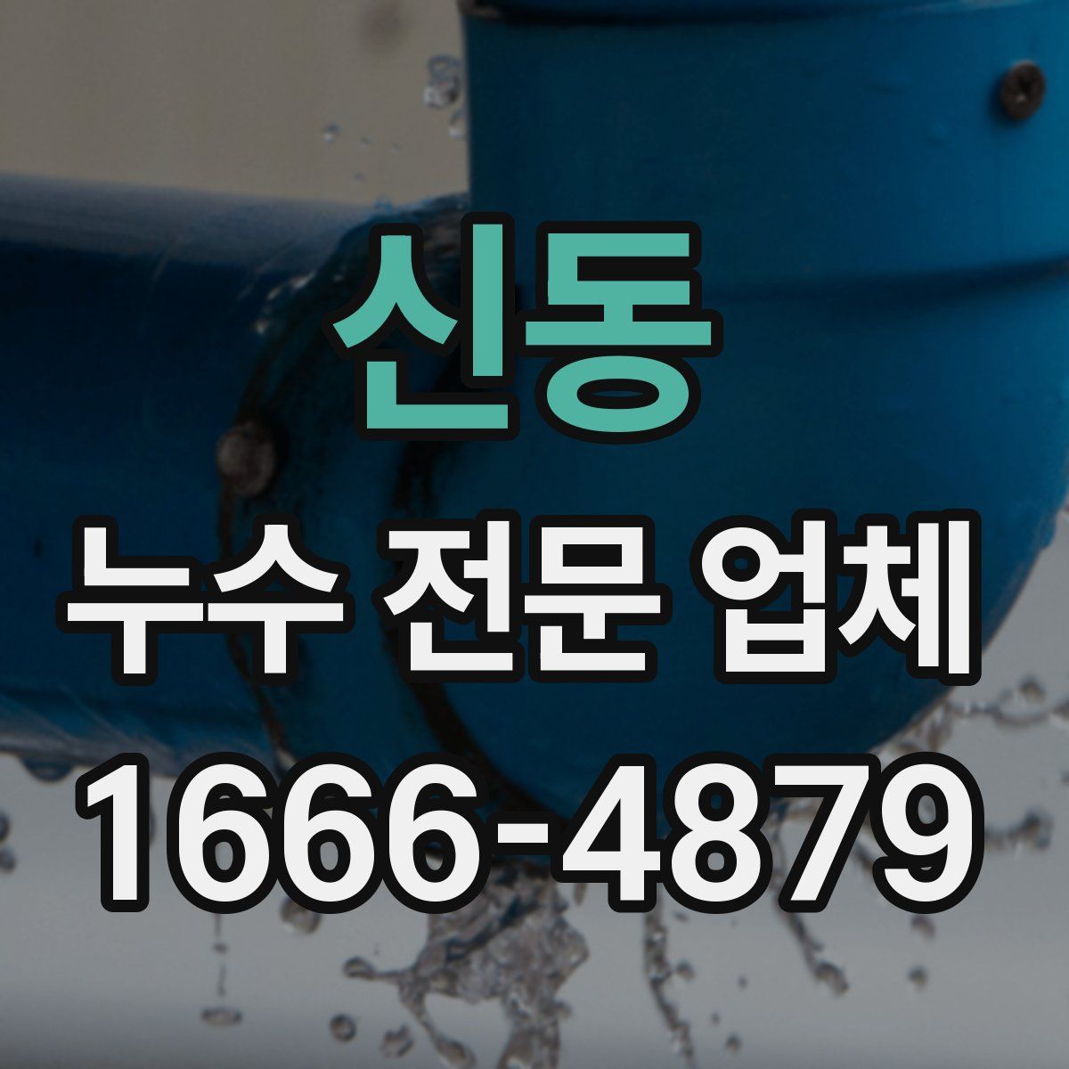 신동 누수 전문 업체