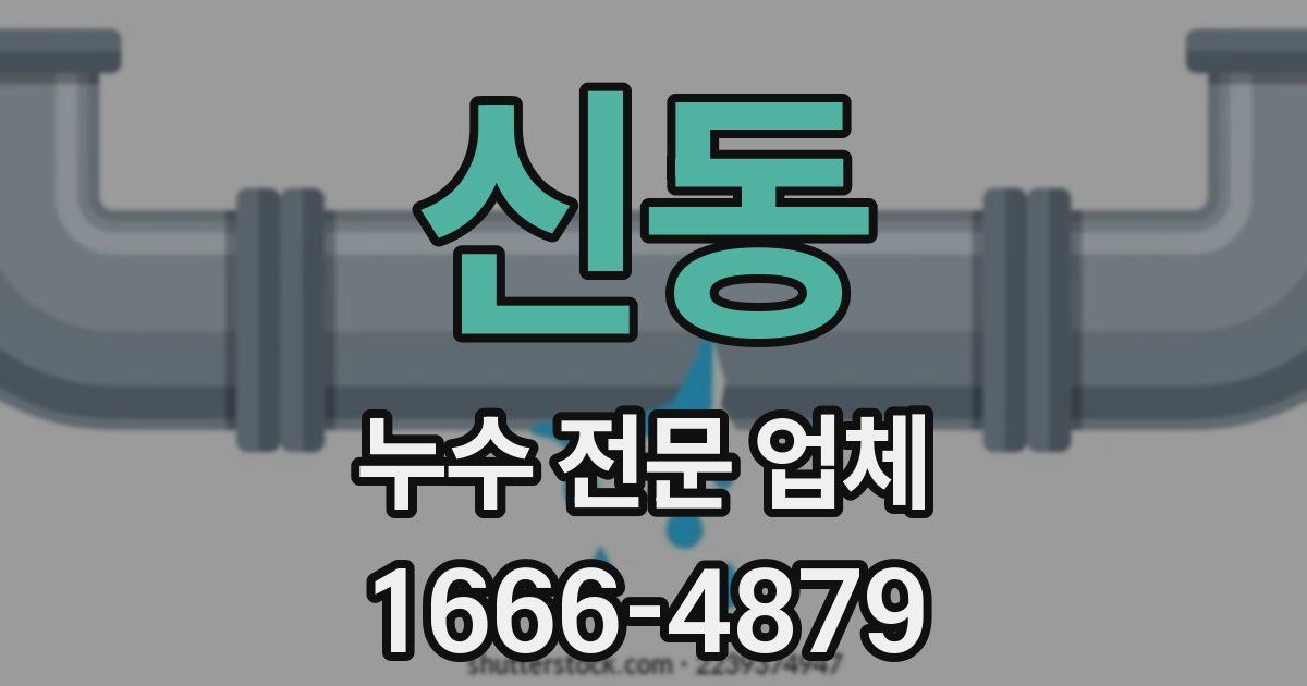 신동 누수 전문 업체