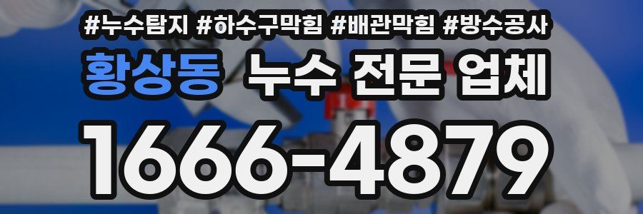 황상동 누수 전문 업체