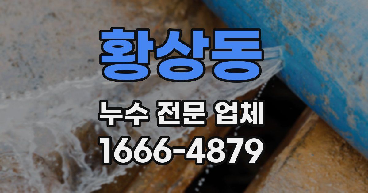 황상동 누수 전문 업체
