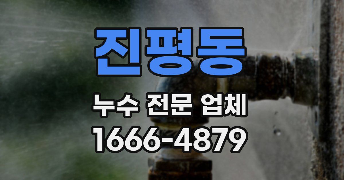 진평동 누수 전문 업체