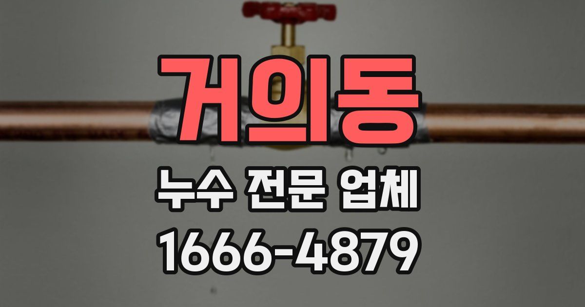 거의동 누수 전문 업체