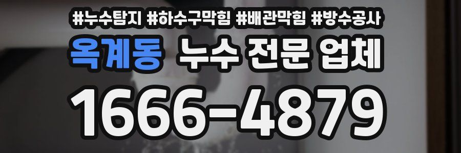 옥계동 누수 전문 업체