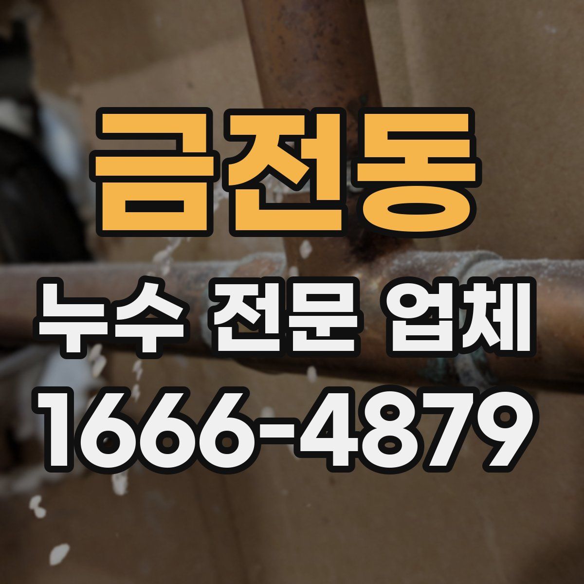 금전동 누수 전문 업체