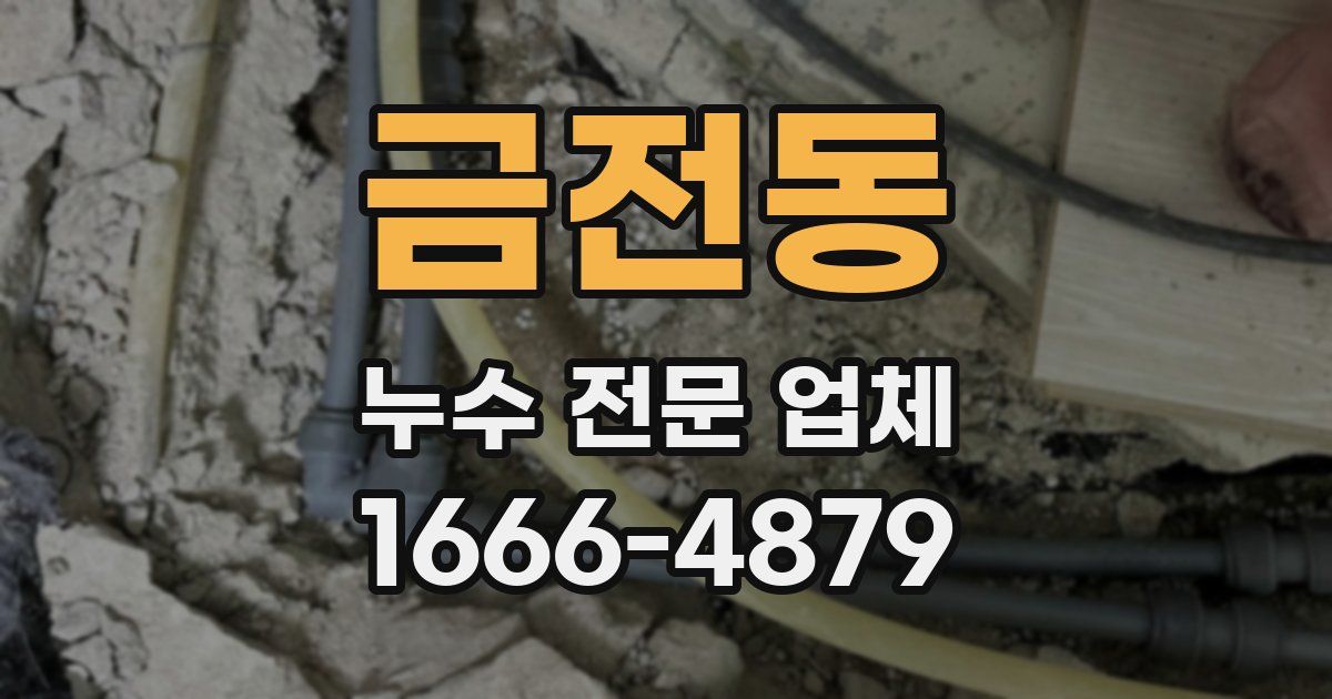 금전동 누수 전문 업체