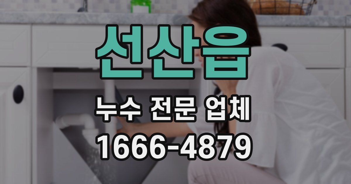 선산읍 누수 전문 업체