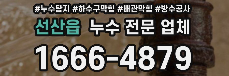 선산읍 누수 전문 업체