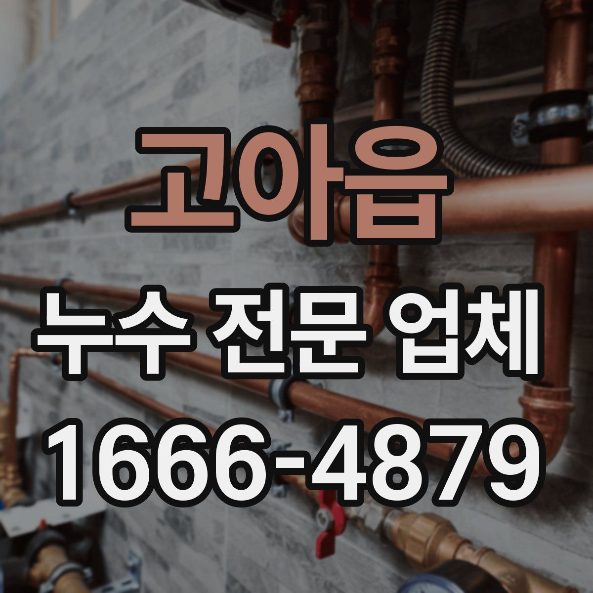 고아읍 누수 전문 업체