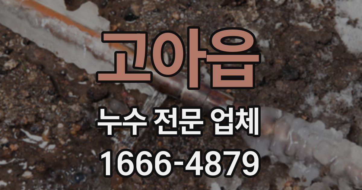 고아읍 누수 전문 업체