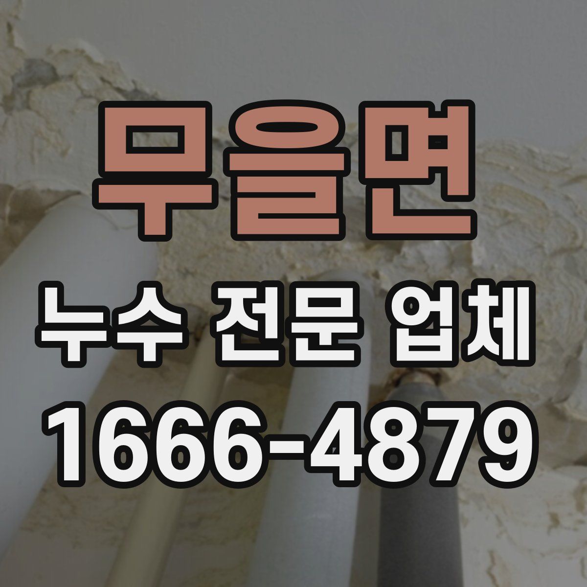 무을면 누수 전문 업체