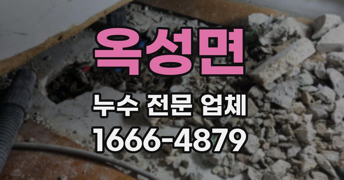 옥성면 누수 전문 업체