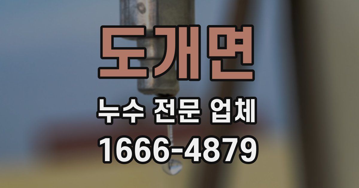 도개면 누수 전문 업체