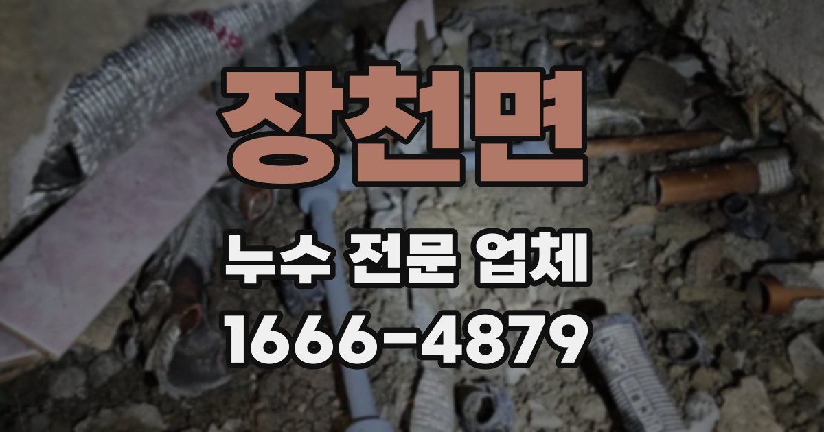 장천면 누수 전문 업체