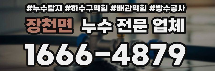 장천면 누수 전문 업체