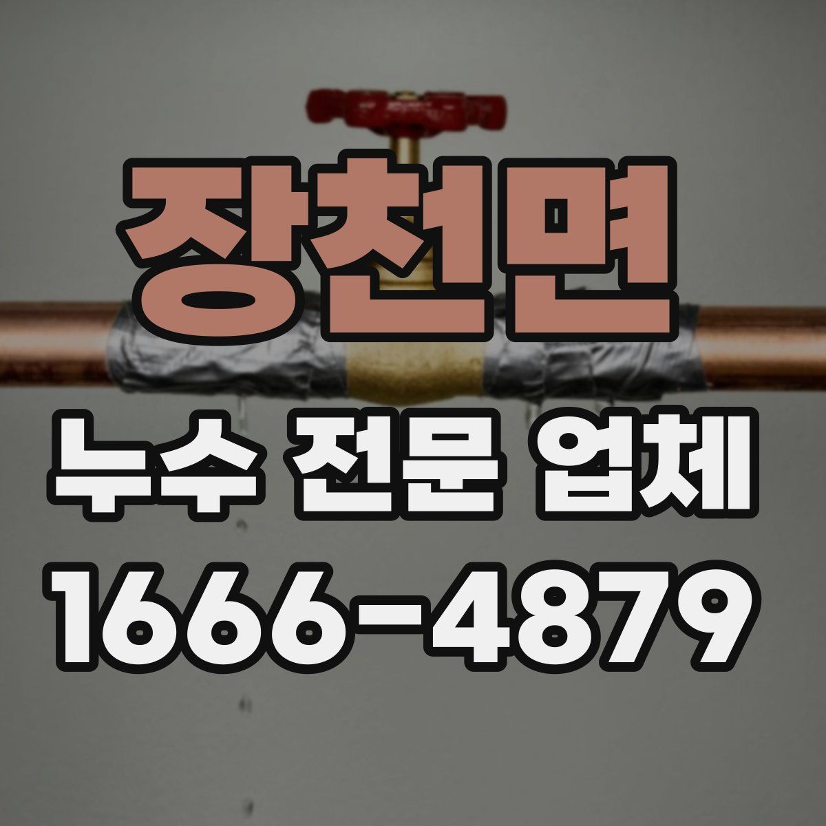장천면 누수 전문 업체