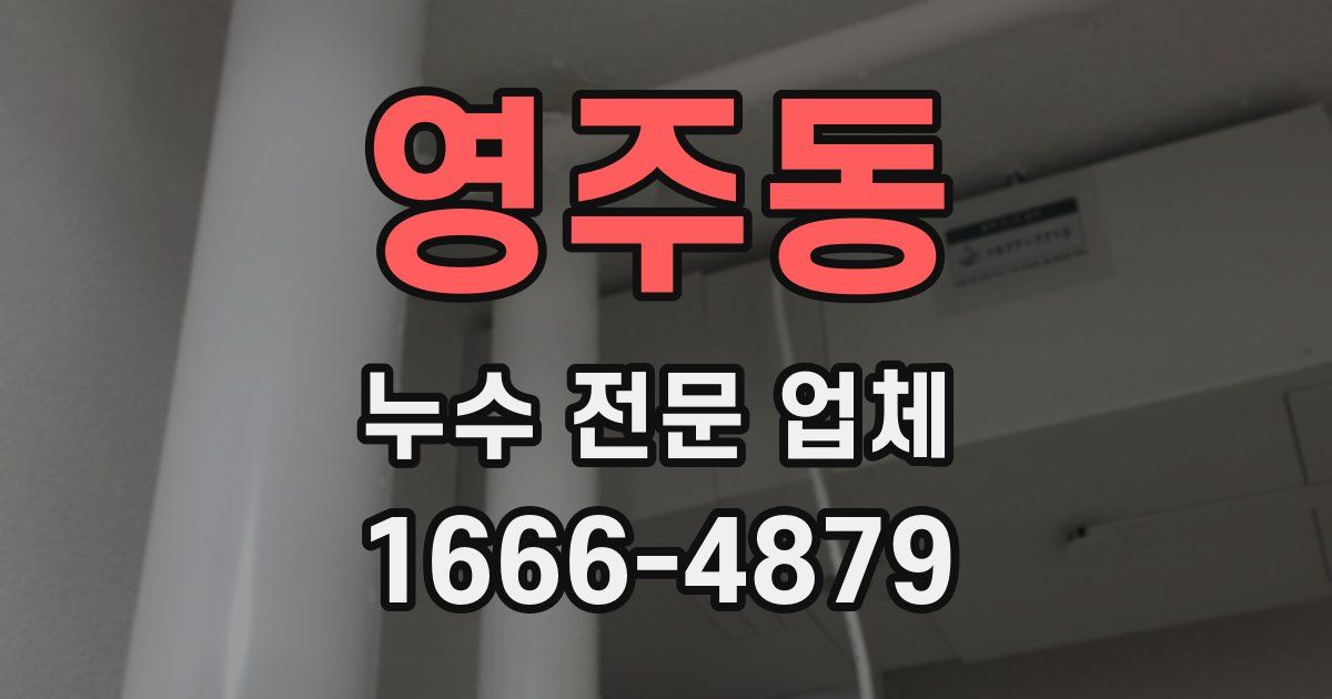 영주동 누수 전문 업체