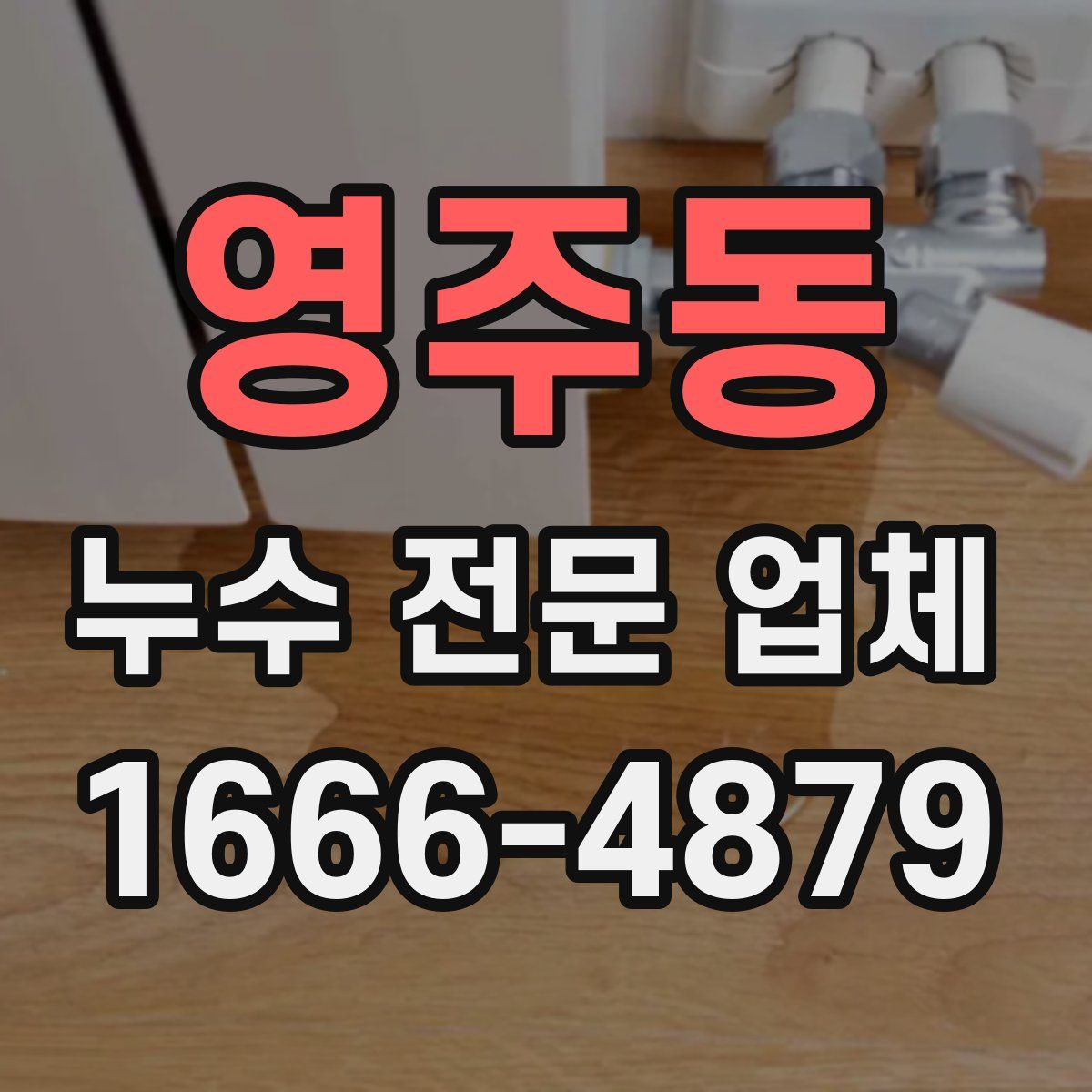 영주동 누수 전문 업체