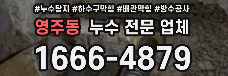 영주동 누수 전문 업체