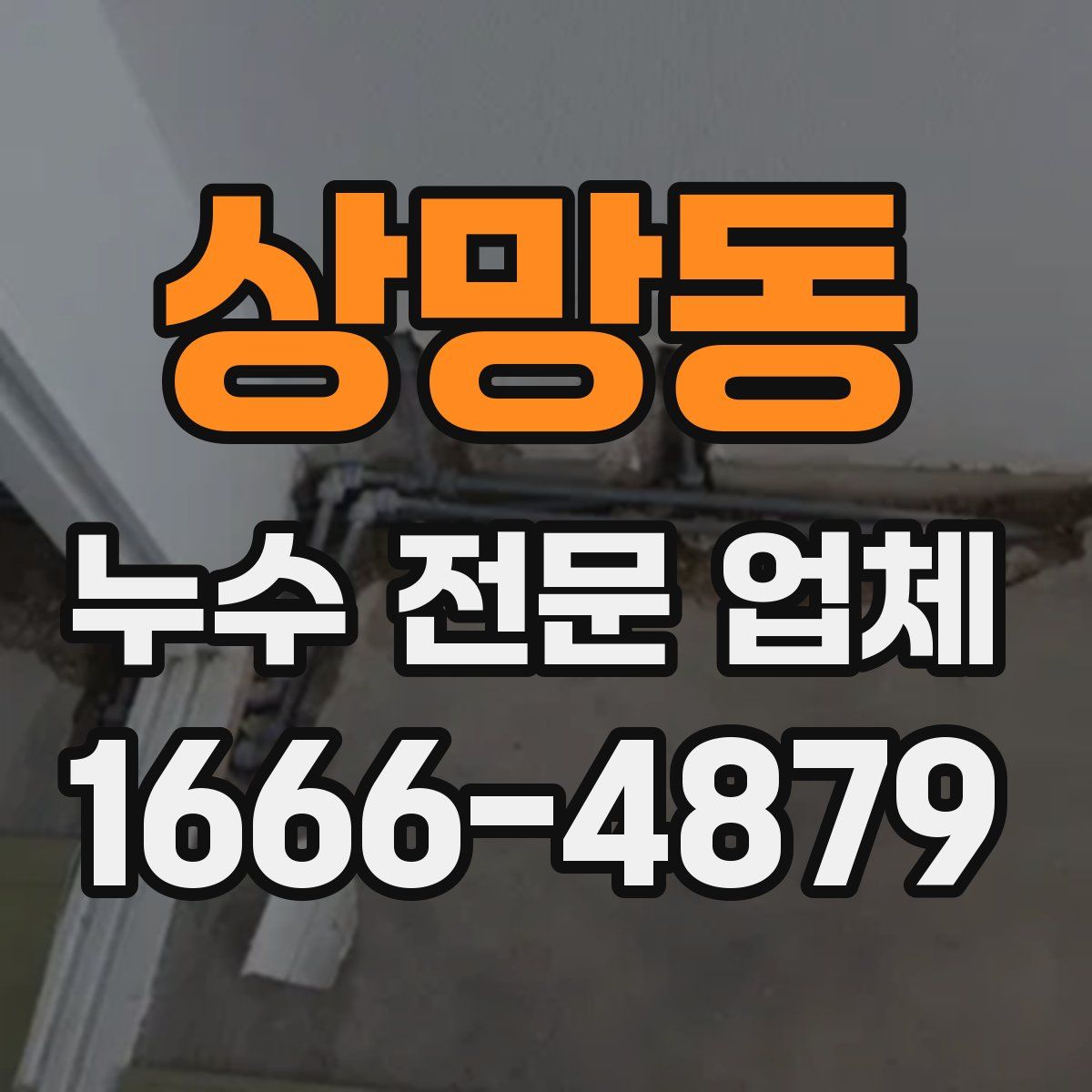 상망동 누수 전문 업체