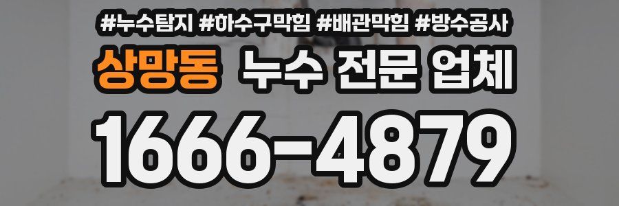 상망동 누수 전문 업체